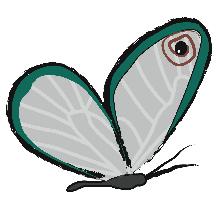 Awakening Wellness Healing Services, LLC