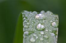 Ayurveda Manual Therapies Jessica Jensen LMT CST