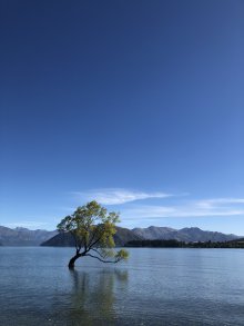 Hsiang Fei  Hung PT, CST-D