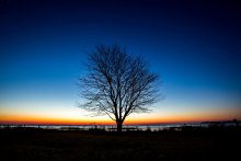 Patra: a craniosacral studio