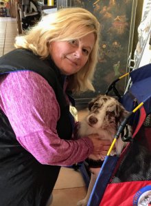 Sophia  Mott Holistic Practitioner