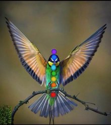 Soft Landing Healing - A Healing Arts Practice