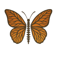 Bethany Fessenden, LMT