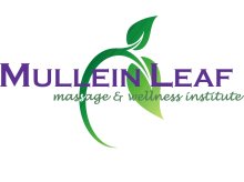 Mullein Leaf Massage & Wellness Institute