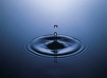 The Holistic Practitioner, LLC