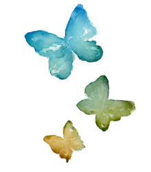 Womb To Wings