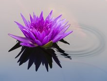 Rolfing and CranioSacral Therapies