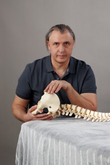 Valeriy Shreiner - Profile Photo