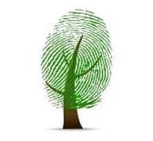 Green Thumbs Massage