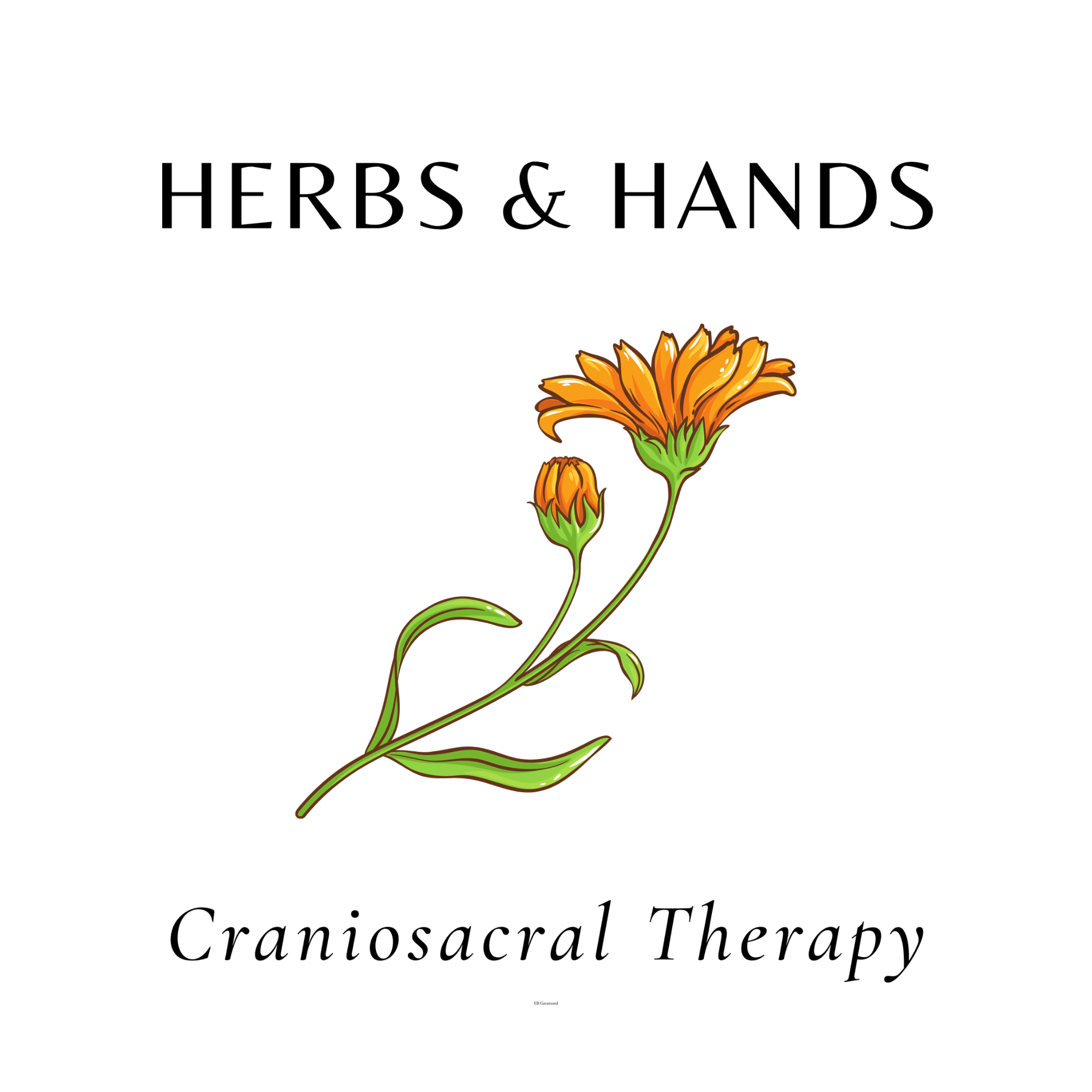 Herbs & Hands Craniosacral Therapy
