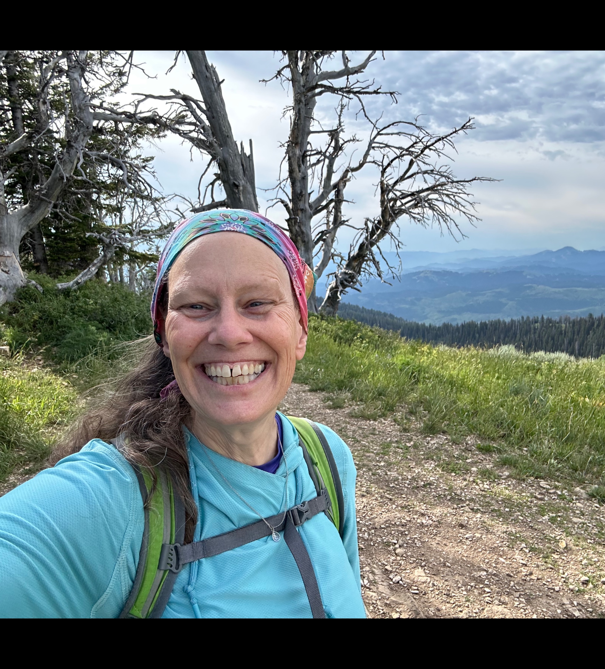 Ann Yohe - Profile Photo