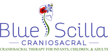 Blue Scilla CranioSacral