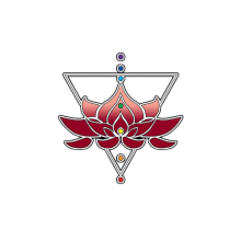 Solavi Wellness