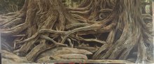 Root of Life Massage Therapy