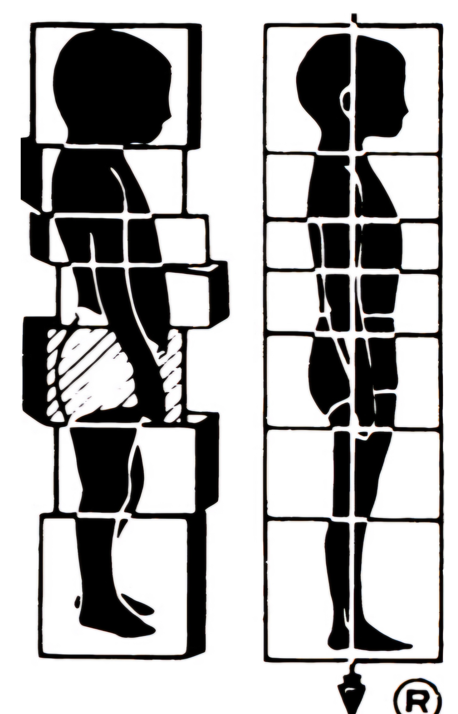 Whole Body Kinetics