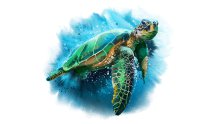 Kyle Taylor - Profile Photo